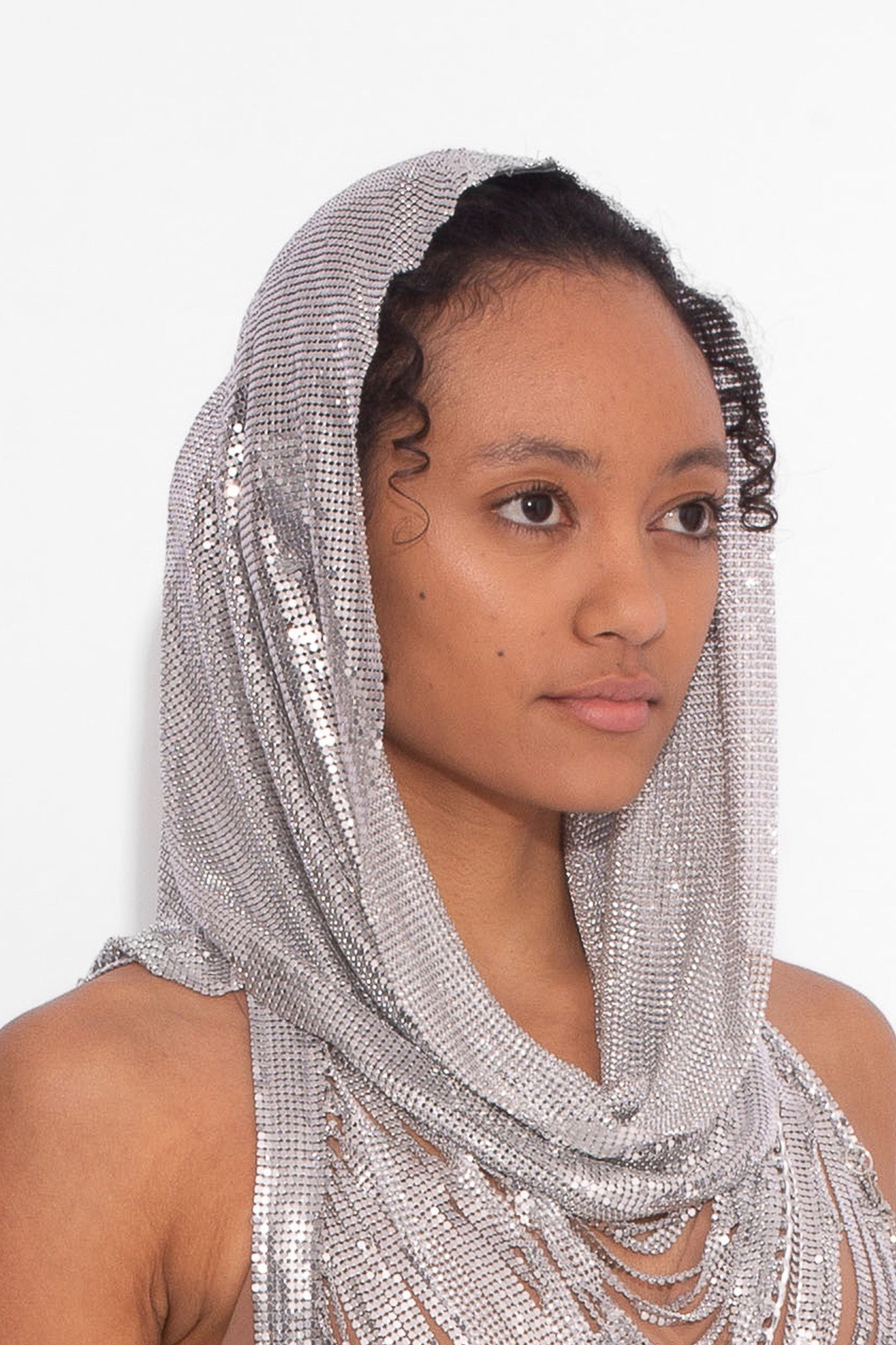 Chainmail Hood in Silver