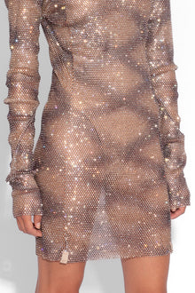 Crystal Embellished Fishnet Mini Dress in Snakeskin